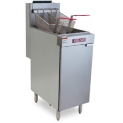 FREIDORA A GAS LG300